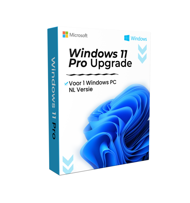 Windows 11 Pro Upgrade